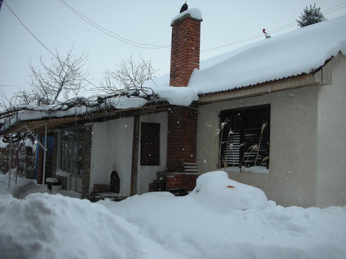 Przic House Apartment Negotin Exterior photo